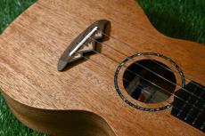 TODO MUSIC UTD-B10C Concert_10