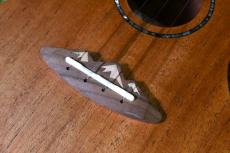 TODO MUSIC UTD-B10C Concert_11