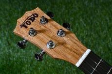 TODO MUSIC UTD-B20C Concert_5