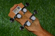 TODO MUSIC UTD-B20C Concert_6