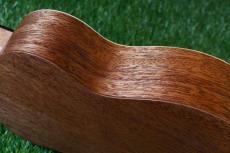 TODO MUSIC UTD-B20C Concert_13