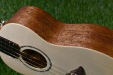 TODO MUSIC UTD-B20C Concert_14