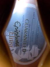 Epiphone '09 Elitist 1965 CASINO_12