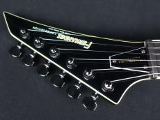 FERNANDES TE-95HT_5