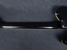 FERNANDES TE-95HT_8