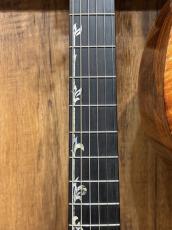 Taylor 【TaylorCustom 商談会モデル】CTM GA Master Grade Koa_5