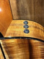 Taylor 【TaylorCustom 商談会モデル】CTM GA Master Grade Koa_7