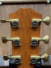 Taylor 【TaylorCustom 商談会モデル】CTM GA Master Grade Koa_9
