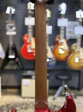 Bacchus SGS-STD RSM/R CAR【バッカス】【JTシリーズ】【3.41Kg】_6