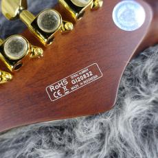 Bacchus BARON-JAZZ SSW GD_9