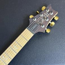 Paul Reed Smith [PRS] KID Limited Wood Library Custom 24 Flame Maple Fingerboard Aquableux 2014_7