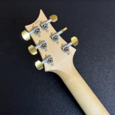 Paul Reed Smith [PRS] KID Limited Wood Library Custom 24 Flame Maple Fingerboard Aquableux 2014_8