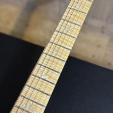 Paul Reed Smith [PRS] KID Limited Wood Library Custom 24 Flame Maple Fingerboard Aquableux 2014_11