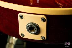 Gibson Les Paul Elegant / 1999_8