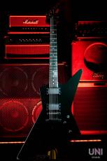 ESP MX-250"James Hetfield"