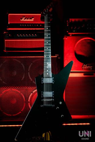 ESP MX-250"James Hetfield"