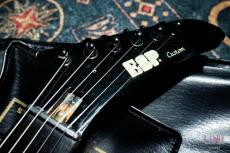 ESP MX-250"James Hetfield"_3
