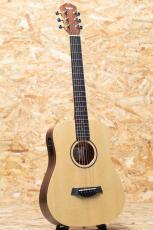 Taylor Baby Taylor BT1e 2021_3