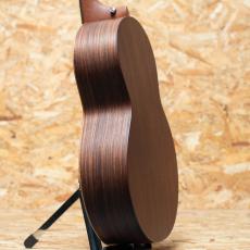 Sheeran by Lowden THE S02_5