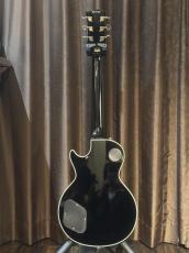 GrassRoots G-LP-60C_2