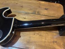 GrassRoots G-LP-60C_6