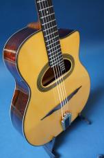 Stringphonic Advanced 14D_3