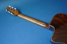 Stringphonic Advanced 14D_9