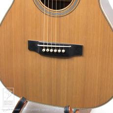 ASTURIAS Solo Standard/C_12