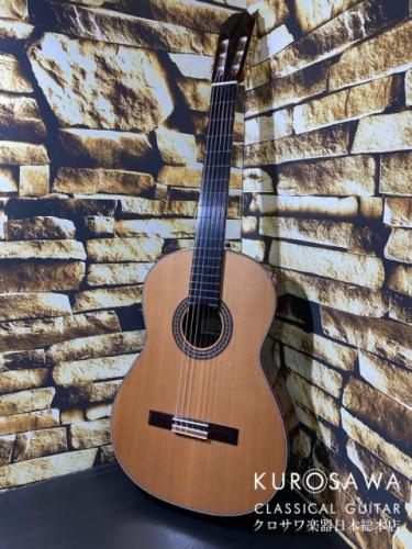KODAIRA [小平] AST-150C 杉・ローズウッド【日本総本店2F 在庫品】