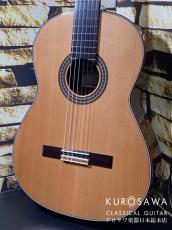 KODAIRA [小平] AST-150C 杉・ローズウッド【日本総本店2F 在庫品】_2