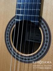 KODAIRA [小平] AST-150C 杉・ローズウッド【日本総本店2F 在庫品】_3