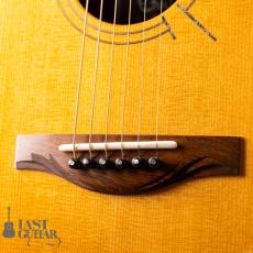 Voyager Guitars VA Lutz Spruce/Honduran Rosewood_3