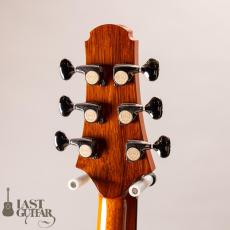 Voyager Guitars VA Lutz Spruce/Honduran Rosewood_7
