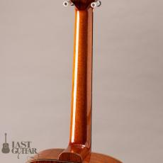 Voyager Guitars VA Lutz Spruce/Honduran Rosewood_8