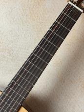 Orpheus Valley Guitars 【良鳴り個体!!】Fiesta F65C 杉×ローズウッド【送料当社負担・最大48回無金利】_4
