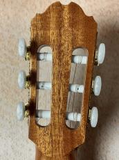 Orpheus Valley Guitars 【良鳴り個体!!】Fiesta F65C 杉×ローズウッド【送料当社負担・最大48回無金利】_6