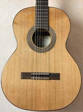 Orpheus Valley Guitars 【最初の1本にもおススメ!!】Fiesta F63C【送料当社負担・最大48回無金利】