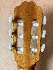 Orpheus Valley Guitars 【最初の1本にもおススメ!!】Fiesta F63C【送料当社負担・最大48回無金利】_6