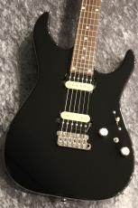 Kino treebud 24F 2H Alder/Vega Trem Bridge/Evertone PU/Jet Black【エバートーンPU搭載】