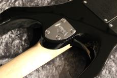 Kino treebud 24F 2H Alder/Vega Trem Bridge/Evertone PU/Jet Black【エバートーンPU搭載】_7