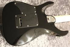 Kino treebud 24F 2H Alder/Vega Trem Bridge/Evertone PU/Jet Black【エバートーンPU搭載】_11