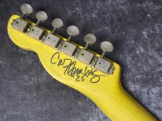 LsL Instruments Chris Fleming Custom Build T-Bone Custom 22F Alder/Rosewood Lake Placid Blue Medium Aged_10