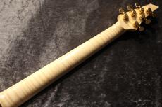 STK Guitars Custom Order STK S1.Carved -Blue Moon- 【日本初上陸】【カスタムオーダー品】_10