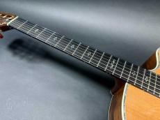 ARIA The Sandpiper SP-250J / Made in Japan・Slotted Head・Solid Seder Top・Jacaranda Side and Back・Abalone TrimEbony Fingerboard and Bridge・With Fishman Prifix Pro Blend PU【With Gig Case】2020年頃製_8