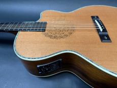 ARIA The Sandpiper SP-250J / Made in Japan・Slotted Head・Solid Seder Top・Jacaranda Side and Back・Abalone TrimEbony Fingerboard and Bridge・With Fishman Prifix Pro Blend PU【With Gig Case】2020年頃製_12