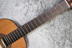 Orpheus Valley Guitars Fiesta F63C 杉 【ショートスケール】【現物写真】【池袋店在庫品】_9