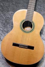 Paco Castillo / パコ・カスティージョ 【小物6点サービス!】201 杉 / サペリ #27621 【綺麗な音色です】【スペインブランド】【池袋店在庫品】