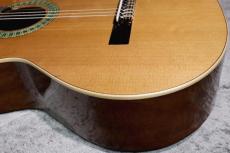 Paco Castillo / パコ・カスティージョ 【小物6点サービス!】201 杉 / サペリ #27621 【綺麗な音色です】【スペインブランド】【池袋店在庫品】_5