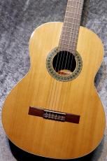 Paco Castillo / パコ・カスティージョ 【ソフトケースサービス】201 7/8 杉 635mm #2318 【ショートスケール】【現物写真】【池袋店在庫品】