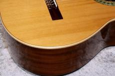 Paco Castillo / パコ・カスティージョ 【ソフトケースサービス】201 7/8 杉 635mm #2318 【ショートスケール】【現物写真】【池袋店在庫品】_4